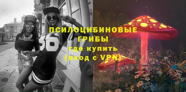 экстази Дмитров