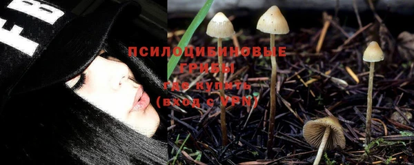 круглые Дмитриев
