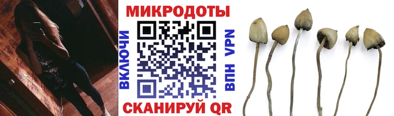 Псилоцибиновые грибы ЛСД Купить где Пересвет